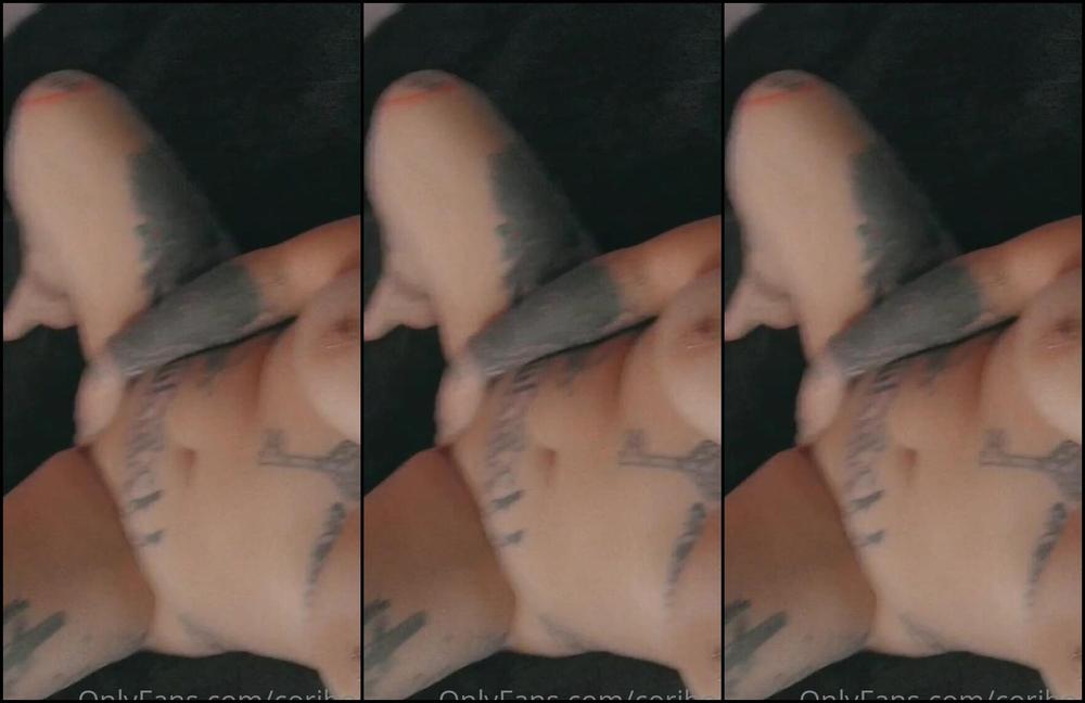 Coriboo 1541006444 12 29 2020 Pet The Kitty Purrr