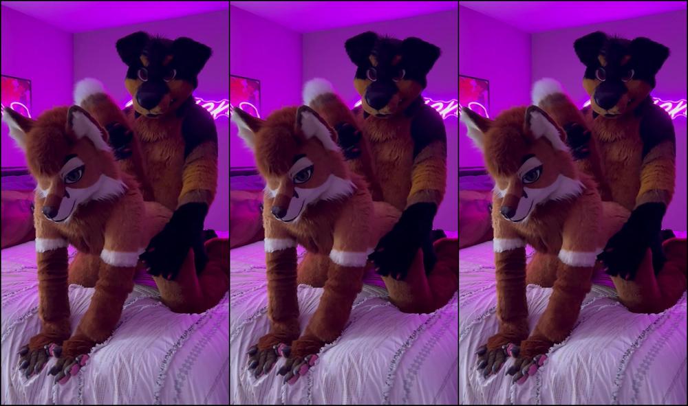 Angel Pups 1494428122 Found A Big Rottie Boy To Play With 01 0Hxpfa5Q3Kybm0Wckpfnz Source