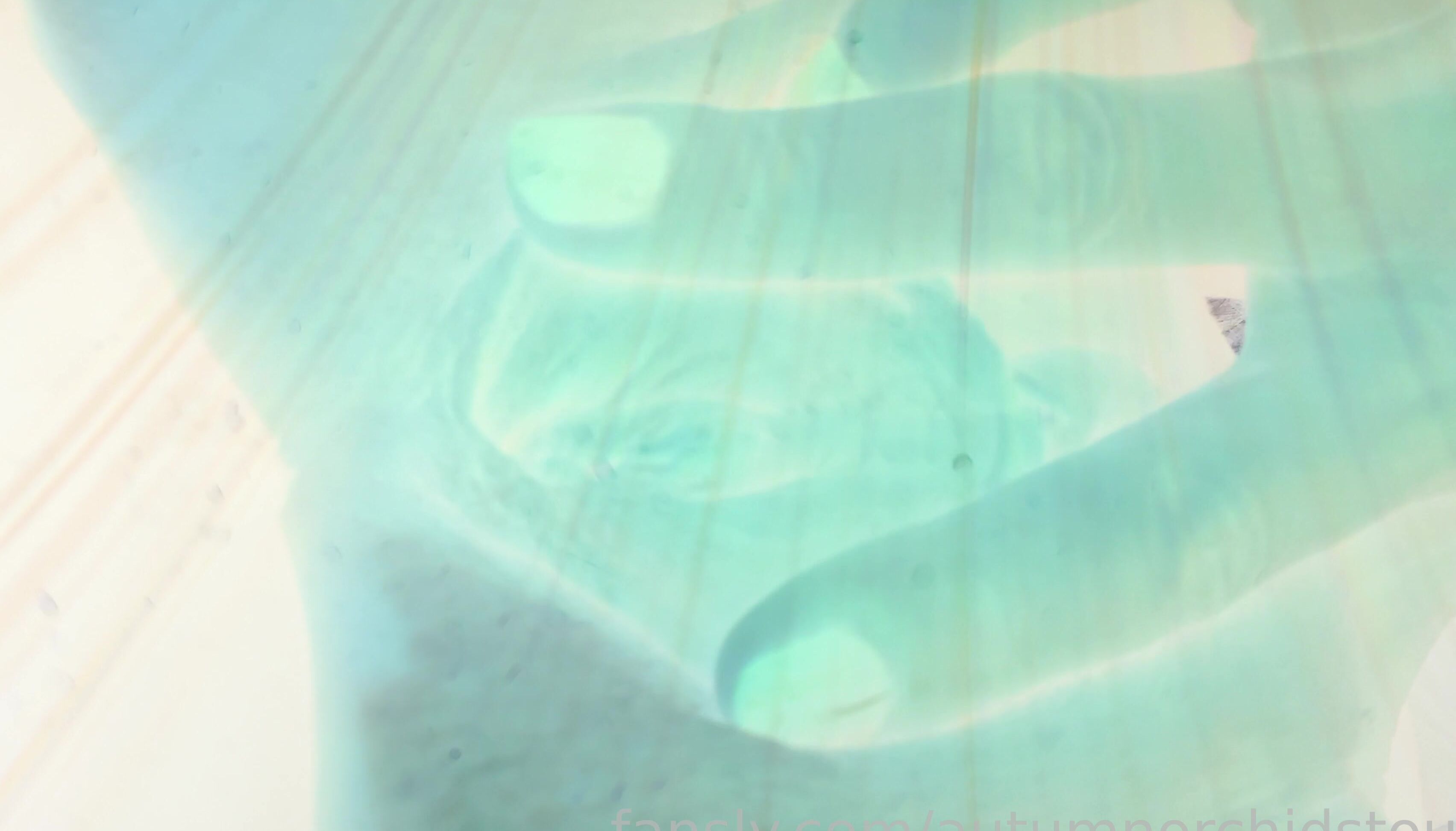 Autumn Orchid 529490989337817088