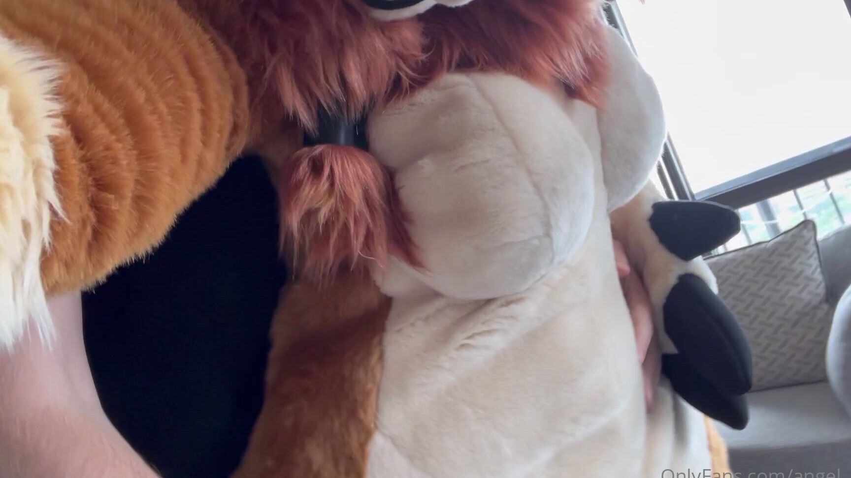 Angel Pups 625139911 Mav And Jessie Seem To Be Getting Along 05 9Fa37505 F2E6 4A6F B12C 820Da198267F