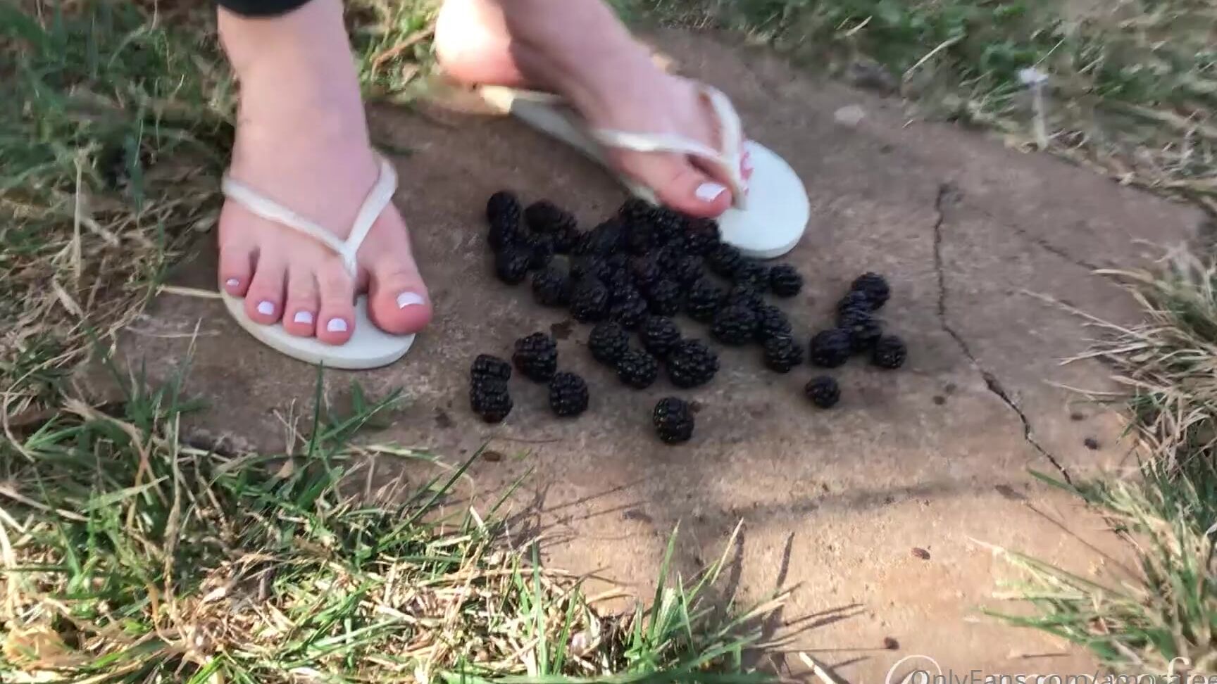 Amorafeet Ofc Blackbarries