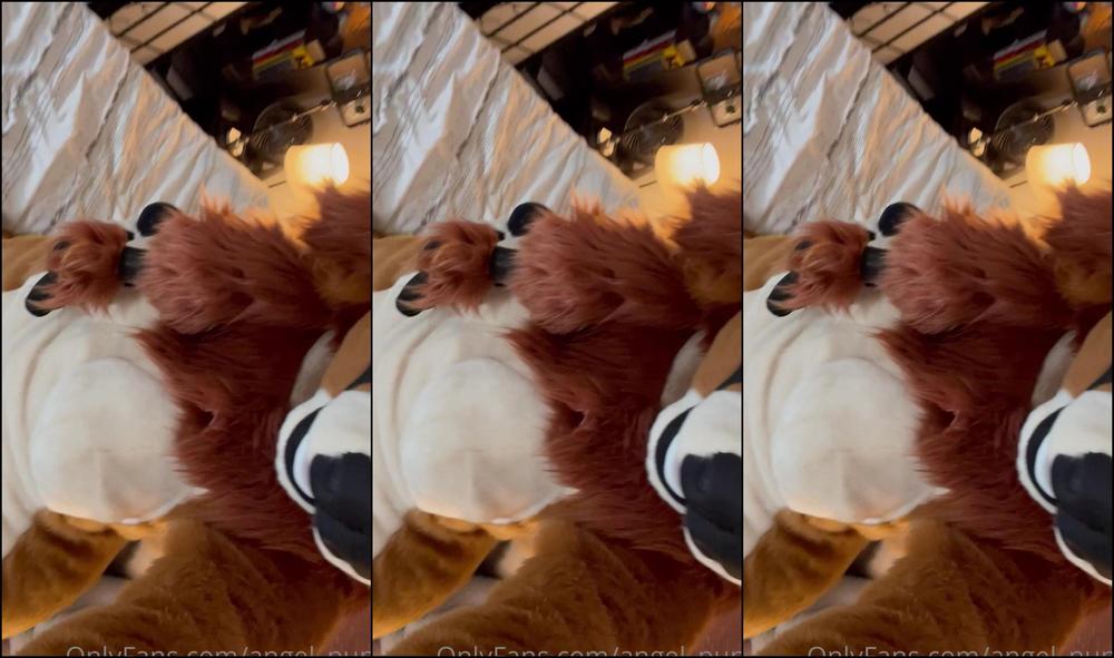 Angel Pups 318553946 Riding My Mans Into Oblivion Cannot Wait To Show You All 01 39Fb5F13 1B6B 4F8B B740 Ce967E835Bf3