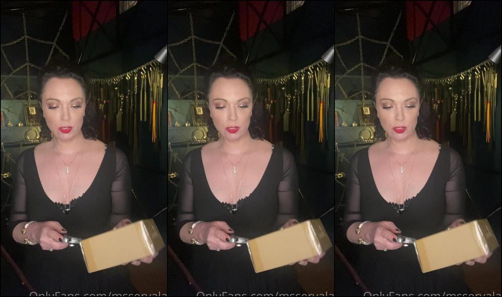 Msservalan New Toys I Haven T Done A Fetish Unboxing Video