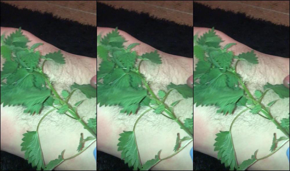 Lady Dark Angel Some More Nettle Play