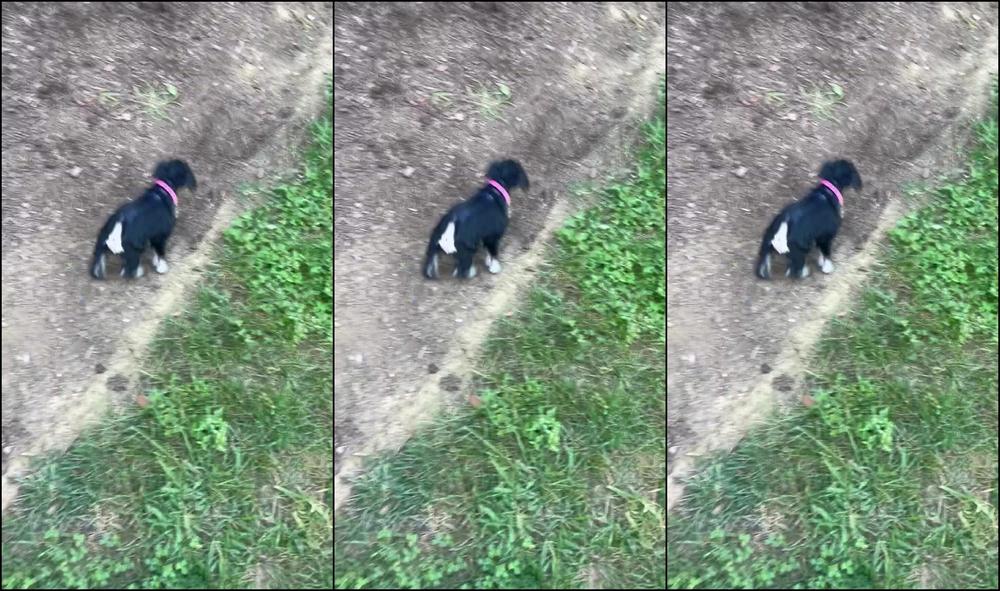 Lil Ann3Frank 0H6Clbimy3Tl5H5O3Yk2H Source