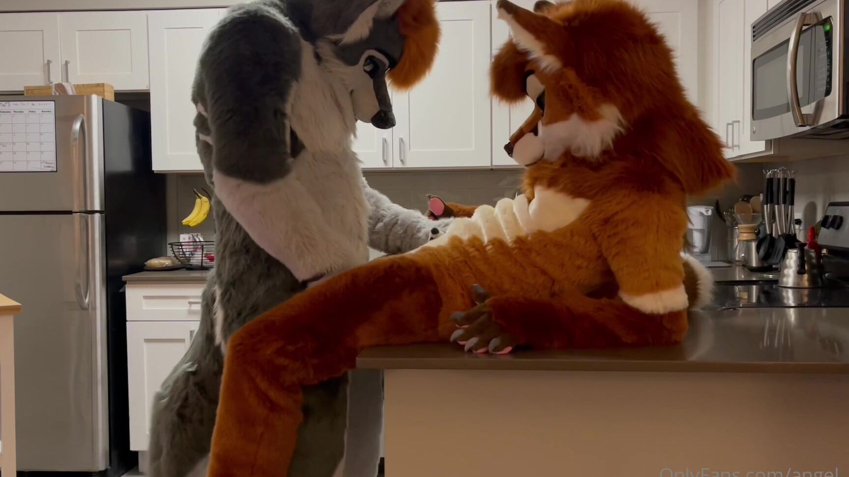 Angel Pups 1144466637 Happy Throwback Sunday That Time When Storm Absolutely Floo 01 0Gyrkydsmif8Mo62Ncjqa Source