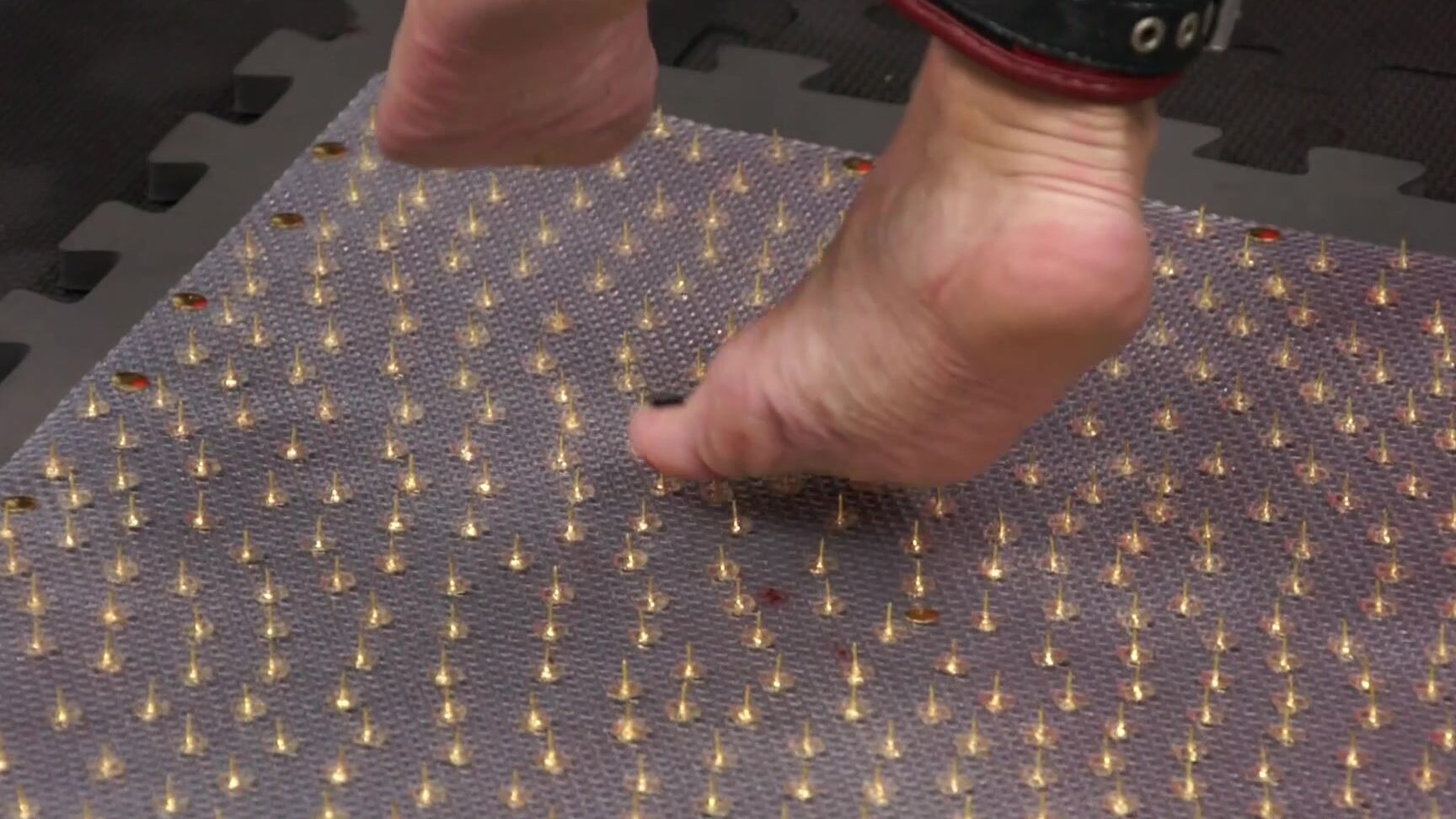 Queensnake Tack Carpet P