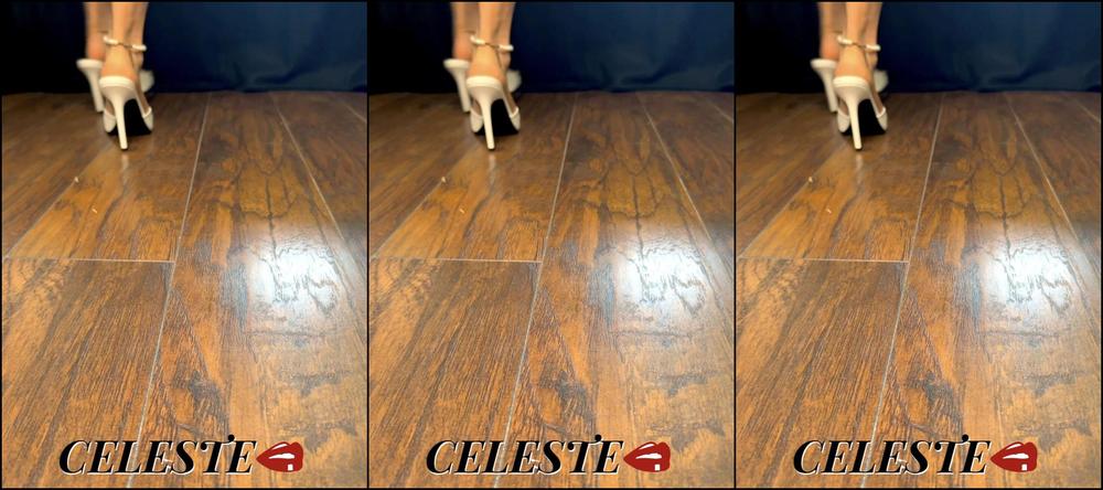 Thee Celeste 2958516911 07 28 2023 Watch Me Walk Mules Made For Walking Can I Walk All Over You