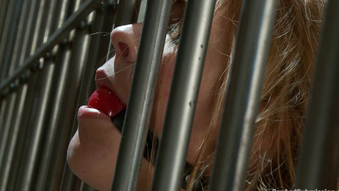 Anal, Hardcore, BDSM, Submission, Domination Krissy Lynn. Bribing an Officer Business Woman Arrested and Ass Fucked in Bondage SiteRip