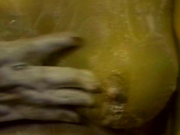 "Actresses: Candy Samples, Christy Canyon, Cyndee Summers, Tracey Adams, Trinity LorenActors: Francois, Hershel Savage, Peter North, Ron Jeremy, Tony Martino" Big Tits, Hardcore Attack of The Monster Mammaries LA Video