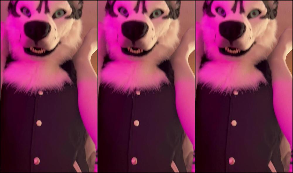 Angel Pups 981623216 More Clips From Their Study Session 02 0Hnuzx253J6Pii0Ws3Ypx Source