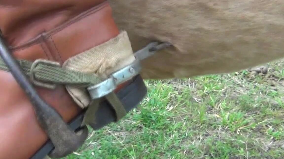 Ghrfan Onlyfans The Gorgeous Mary Is About To Enjoy The Pleasure Of Dominant Riding Coming Today To Lrg