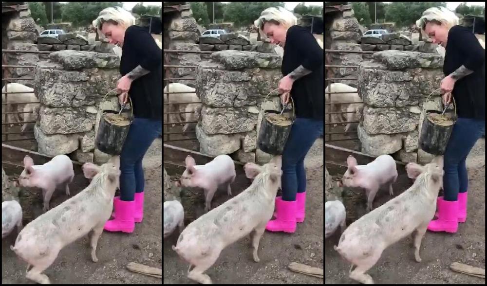 Miss Ruby Marks Greedy Piggies Literally