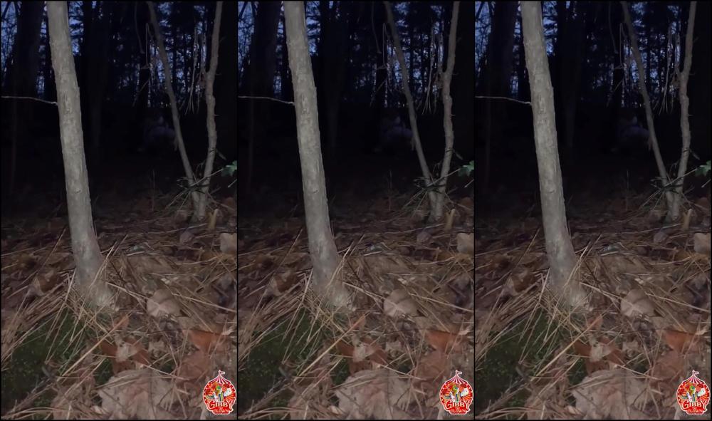 Prettylittlepawg Midnight Circus Freak Show Ft Your Favorite Rin