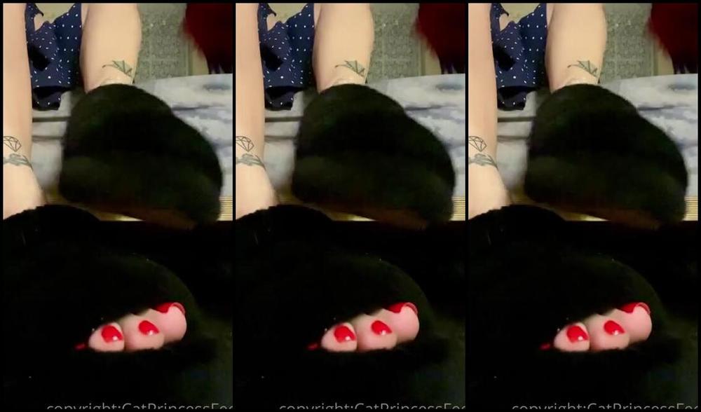 Catprincessfeet Onlyfans In Or Out 1