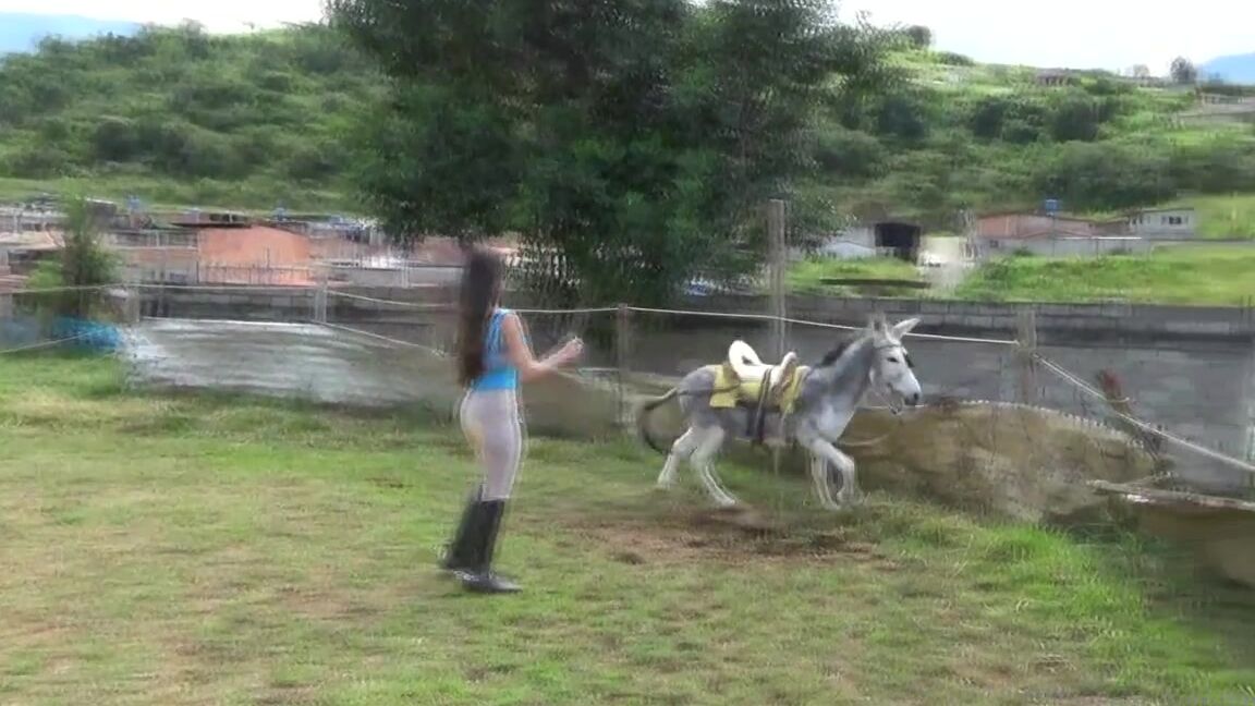 Ghrfan Onlyfans The Only Thing Better Than A Latin Riding Goddess On The Burro Is A Duo