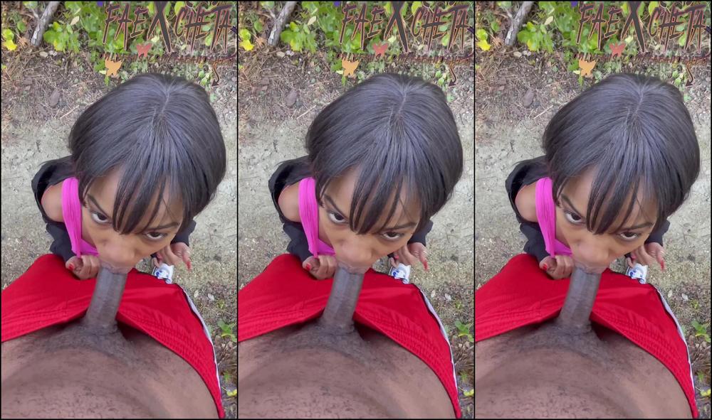 Faeandchetamv Park Ranger