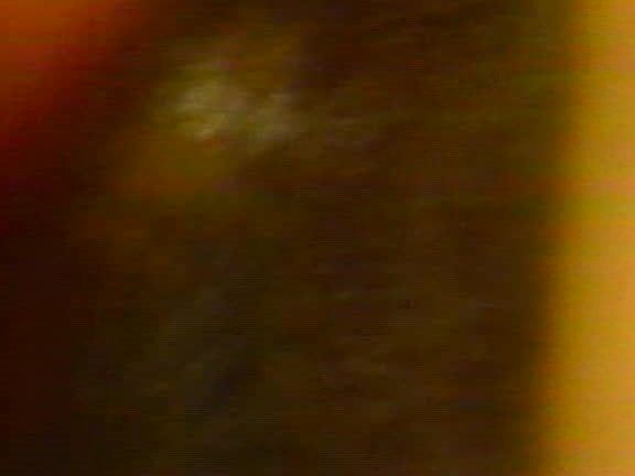 "Buffy Davis, Cara Lott, Krista Lane, Barbara Dare, Regine Bardot, Billy Dee, Jesse Eastern, Randy West" Anal, Classic, All Sex Sophisticated Women Scandinavian Erotic Video Productions