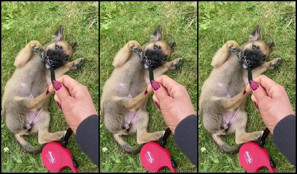 Ladydarkangeluk Onlyfans So Cute Just Eats And Chews Everything Though