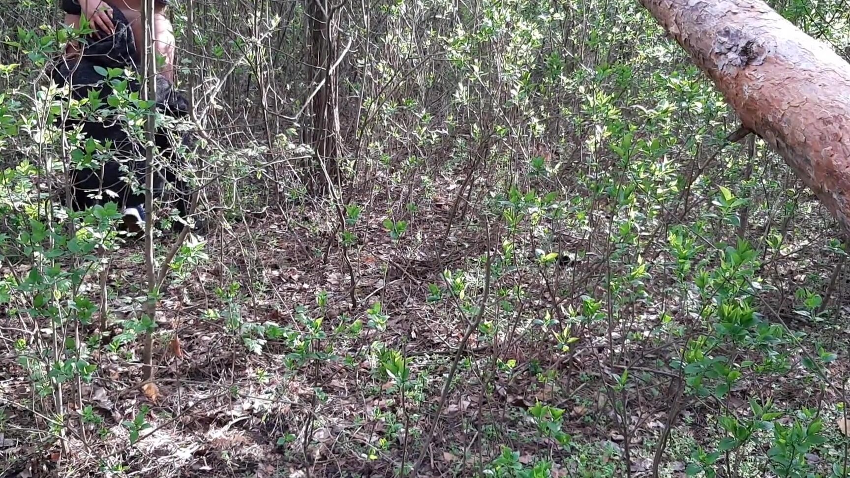 lesbian illusion Наш Секс В Лесу Сняла На Камеру Подруга, Которая Нас Случайно Застукала - Lesbian_Illusion PornHubPremium