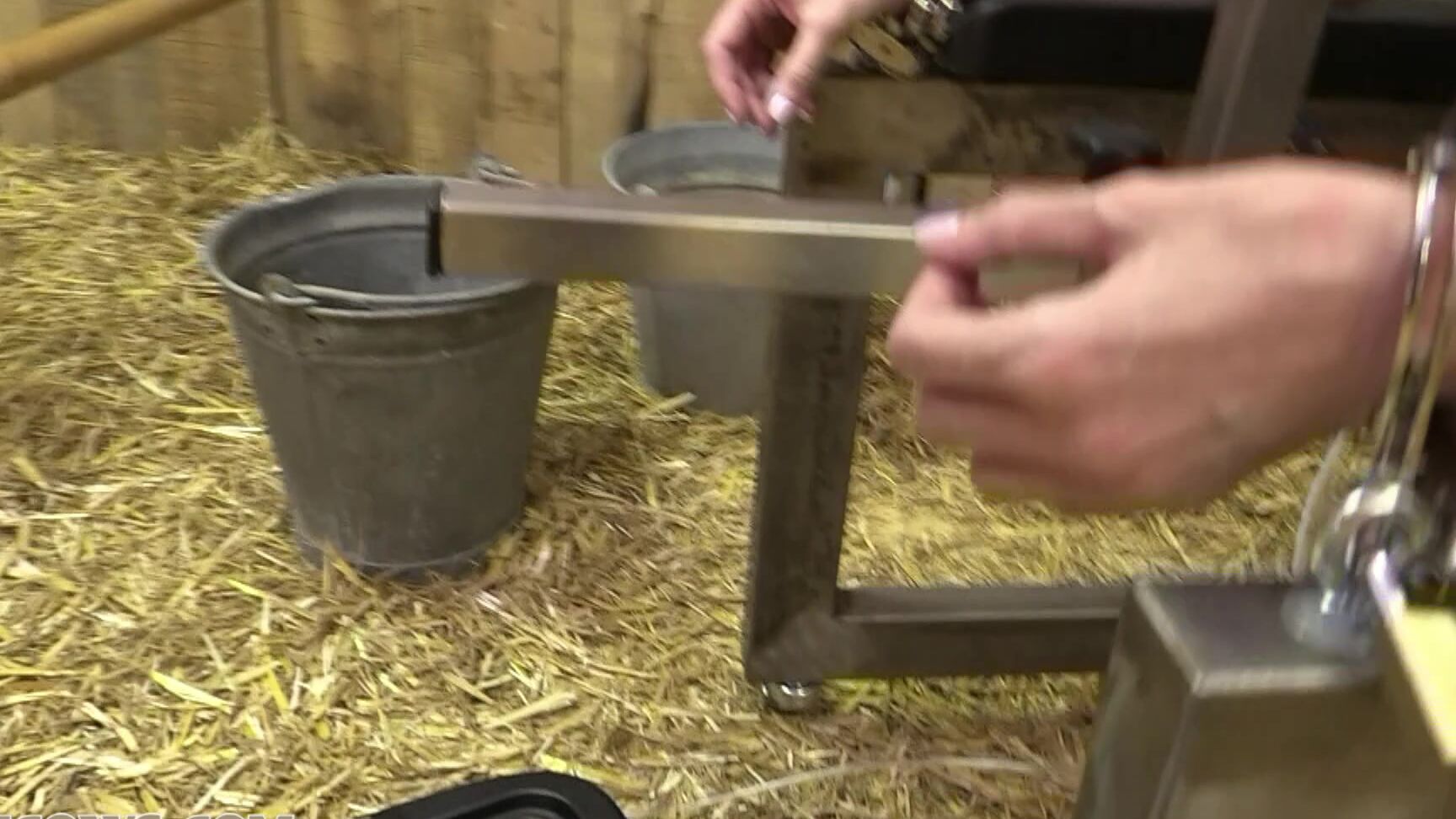 chastity belt, breast training machine, gag, bondage Cobie more udder expansion HuCows.com