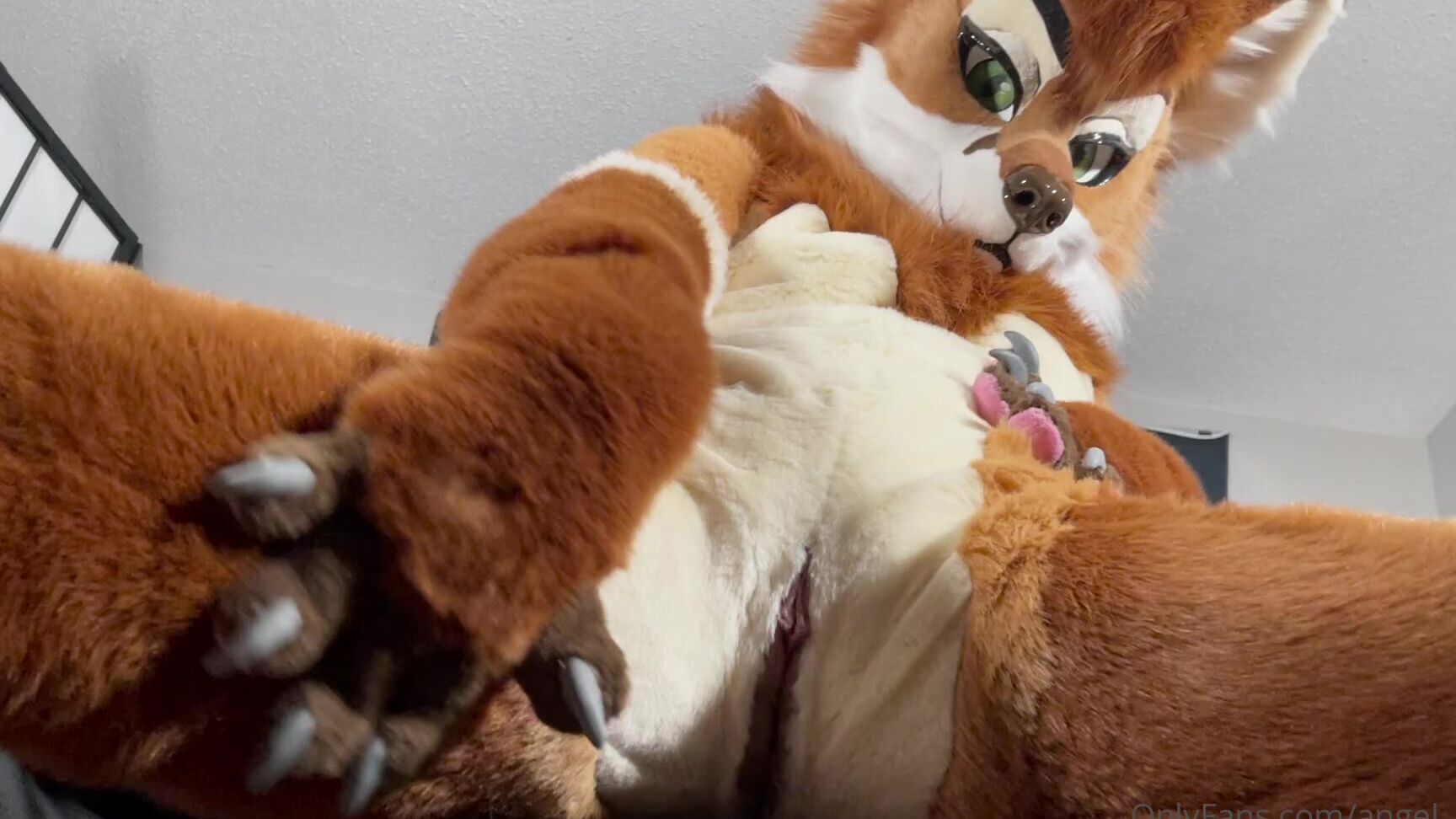 Angel Pups 249686176 While You Re Down There 01 Bee1823E 4522 4Aee 8E6E Ced4B699D641