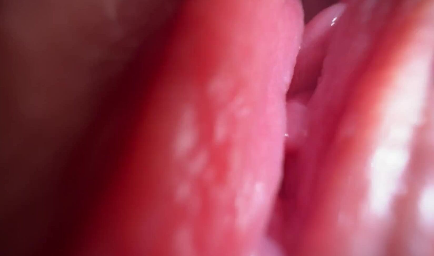 Cute Pussy Extremely close up pussy worship Pornhub