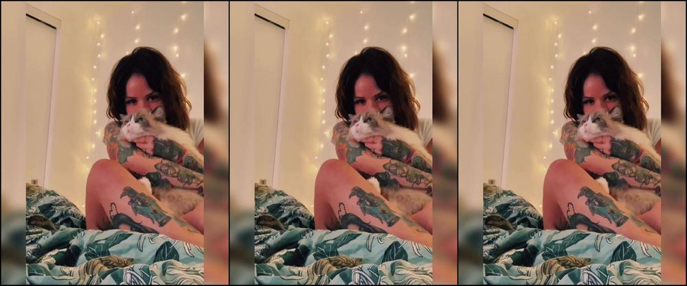 Ihatelaika 90768957 11 22 2019 Wholesome Content For The Cat Lovers