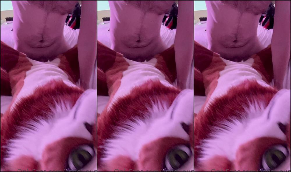 Angel Pups 547689878 This Vixen Needs To Be Humped Daily To Keep Her Filled And S 01 2D47B6F3 9B6D 422A B20A 05C6D7Dcf17E