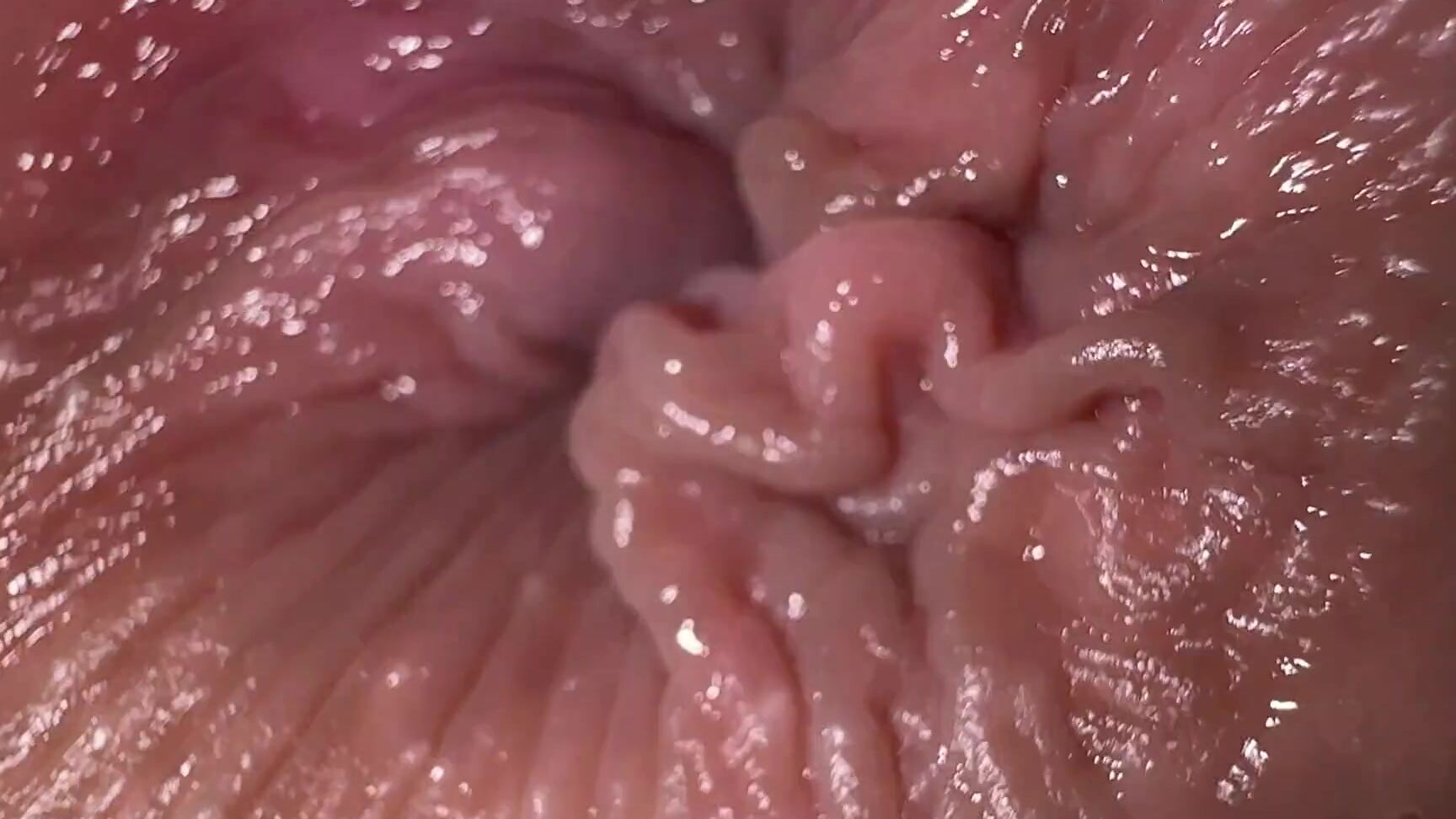 Cute Pussy Close up ass fingering and dirty talk, anal masturbation orgasm Pornhub