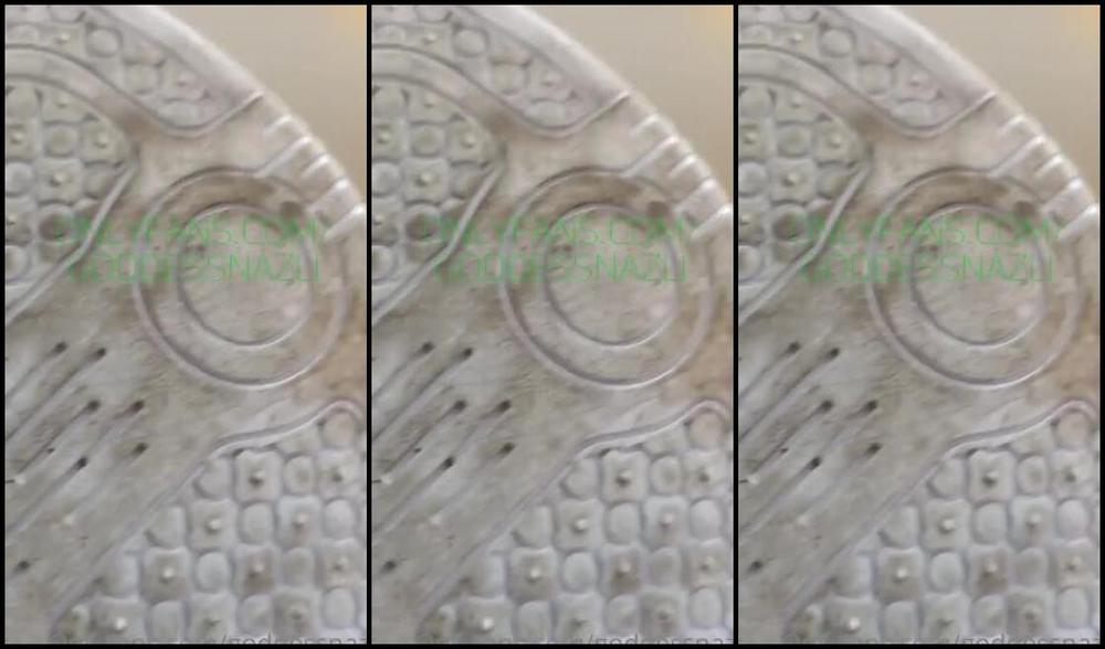 Onlyfans Model Goddess Nazli Aka Goddessnazli Ayaklara Kleler Mazoistler Ve Tabii Gerek Kleler Iin Cenneti Vadediyorum Heaven Is Under