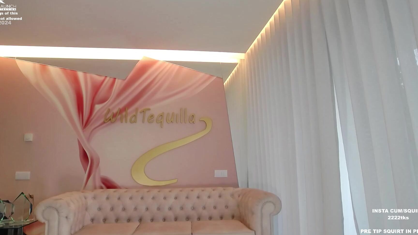 Wildtequilla 2024 07 31 12 17