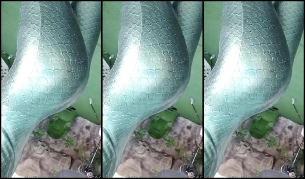 Katerina Piglet Nicknamed Katerinapiglet Femdom 12 18 2020 Onlyfans Video Ssss