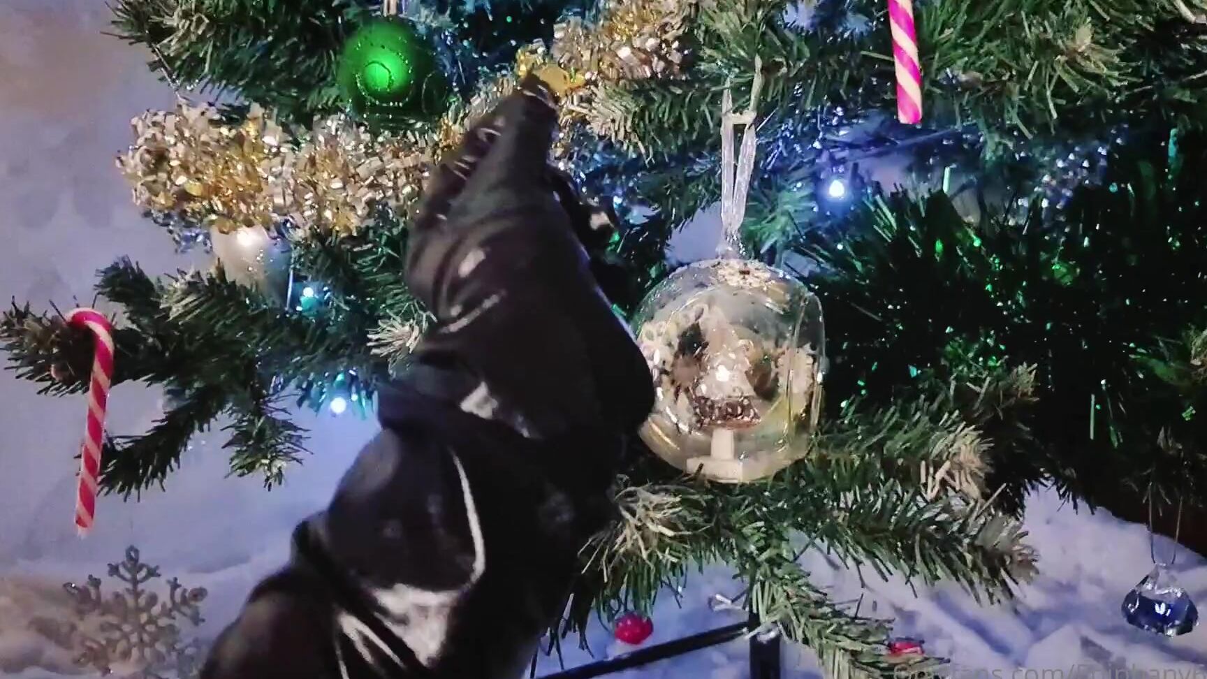 Epiphany Cb Pvc Goddess Teases You Under The Tree With Candy Cane Oral Fixation Edition