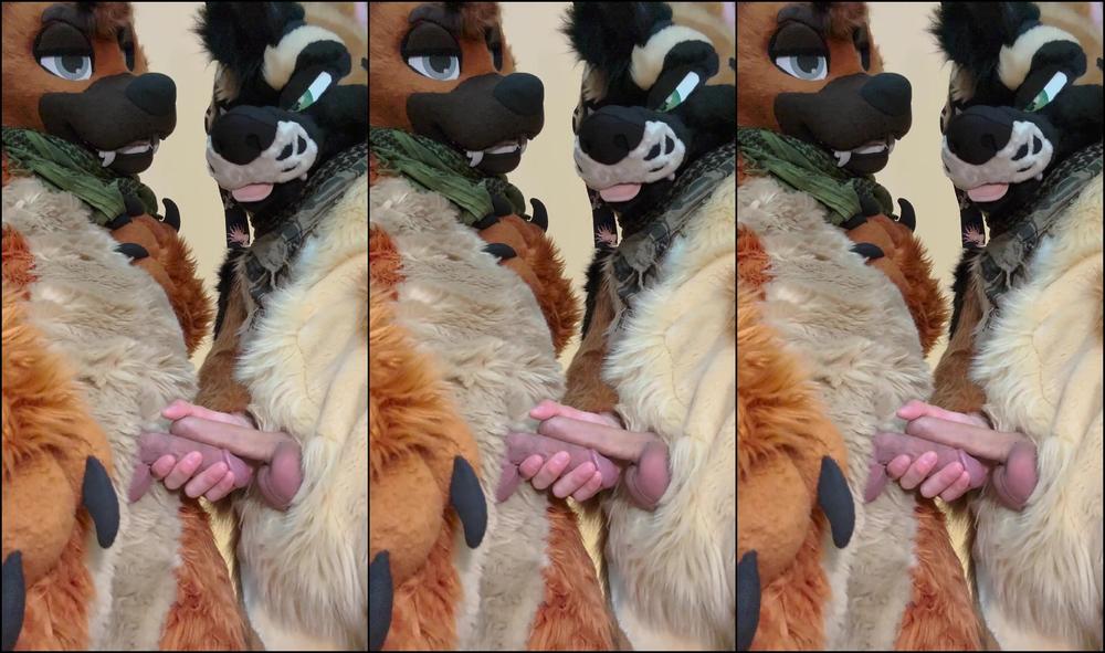 Palacewolf 963717240 Think You Can Handle Both Of These Shepherds Full Video 01 0Hnghgtavg2Lqg083Wabu Source