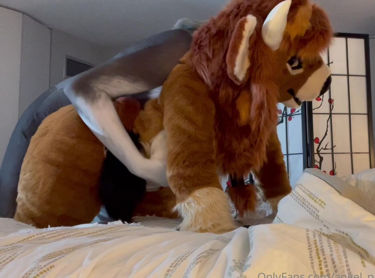 Angel Pups 482249519 Baby Got Back 01 432051B1 14D7 4B82 9Fd5 4F19A6F12038