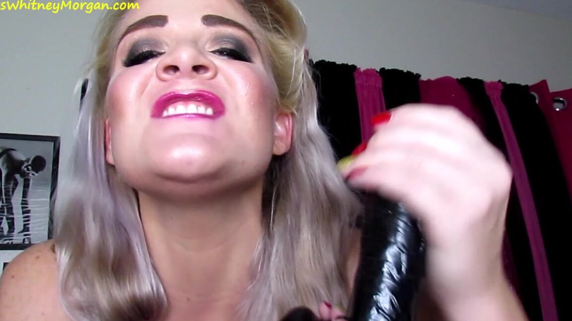Misswhitneymorgan Miss Whitney Bbc Sucking Loser Joi