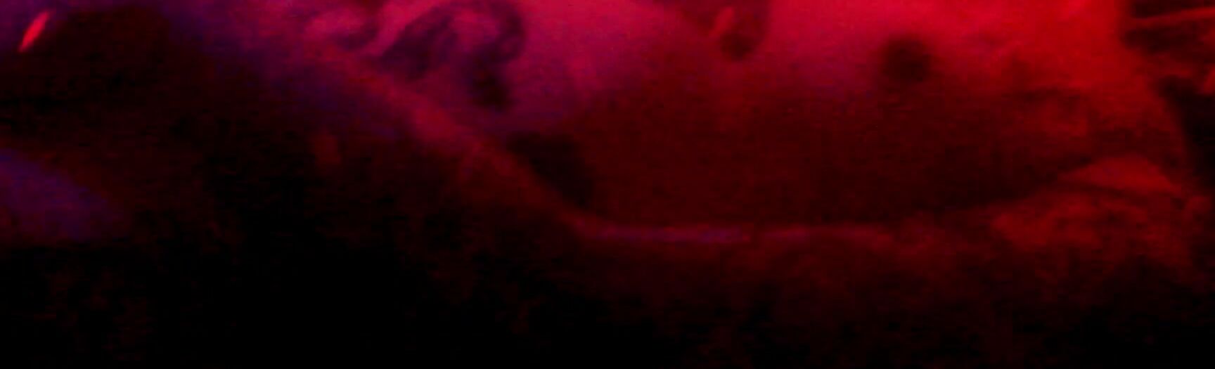 Ouroborosblvck Neon Chrysanthemum