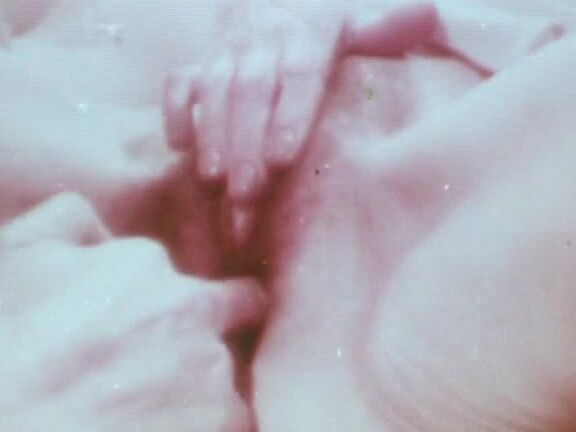 fisting, oral, all sex, vintage, lesbian, pissing, blowjob, anal, classic, compilation, fetish Wet Sex. Lasse Braun Alpha Blue Archives