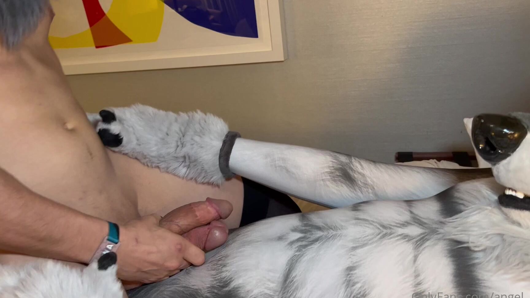 Angel Pups 611303311 Boys Will Be Boys 01 Ffeb697E E5Db 4689 Bc75 7343F225D714