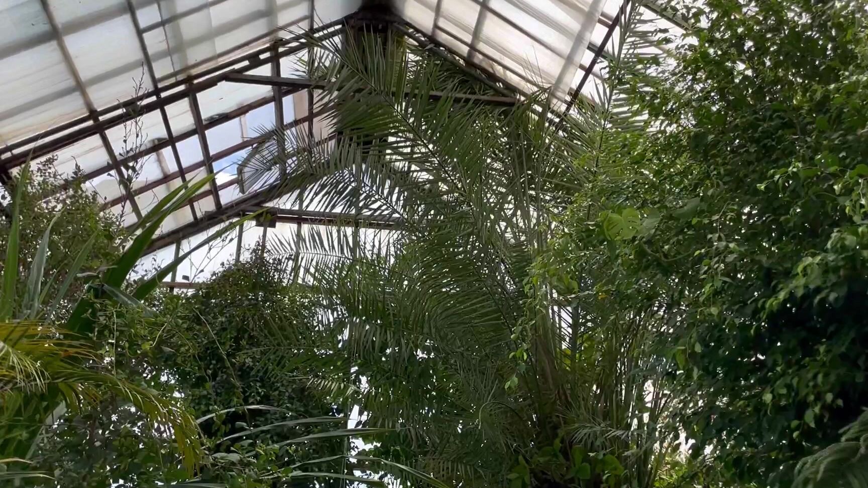 "Babyheavanian" holiday, life, sfw, travel, trip, vlog Summer vlog Holidays in Hometown manyvids