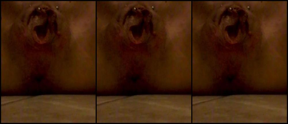 A Little Double Birthing Of The Ball And