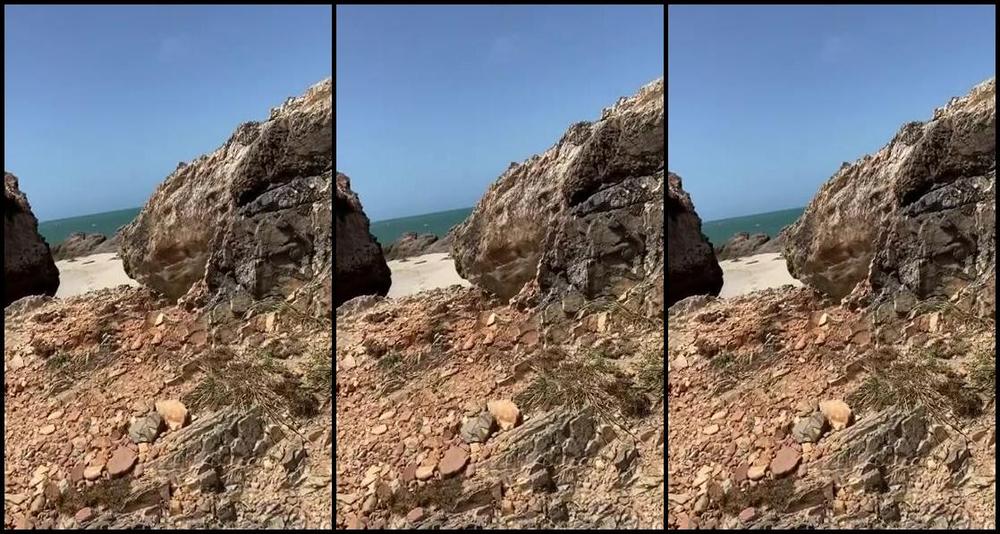 Mistress V Black Nicknamed Mistressvblack Onlyfans Traveling Through Paradisiacal Beaches Even So I Remembered You