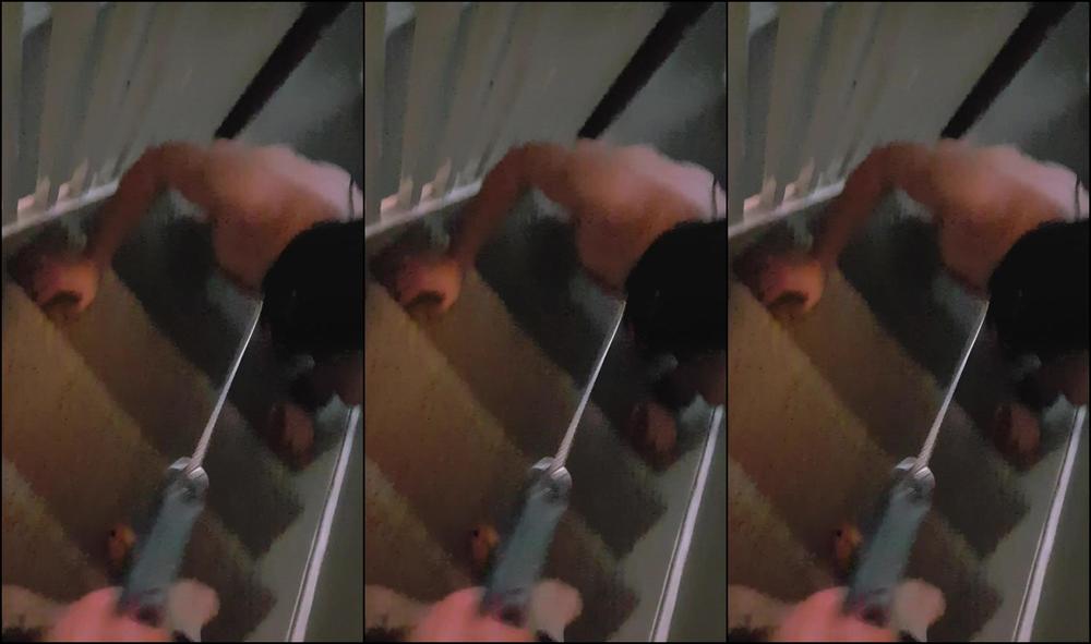 Adreena Angela King My Dog For A Walk I Love This Clip The Part Where Puppy Meets Kitty Makes Me Laug