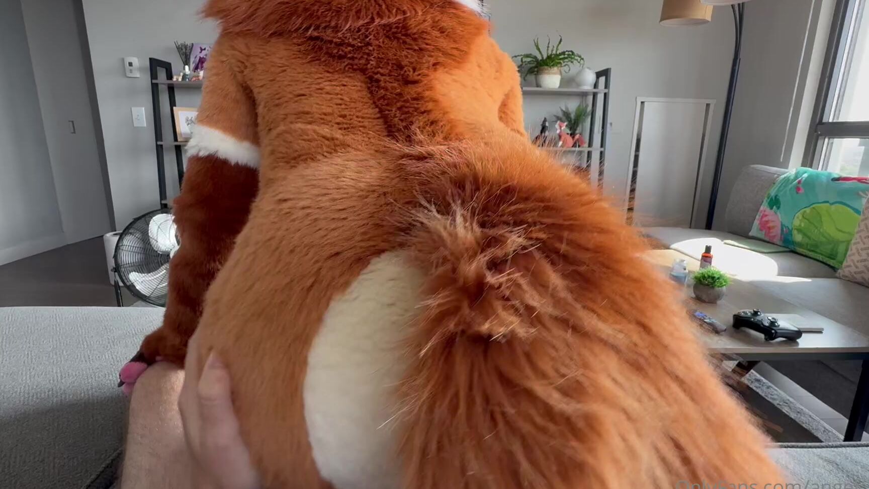 Angel Pups 1269269696 Hey There Human Ever Been With A Fox Girl Before 01 0Htllezju7Wp0Bbc7Brng Source