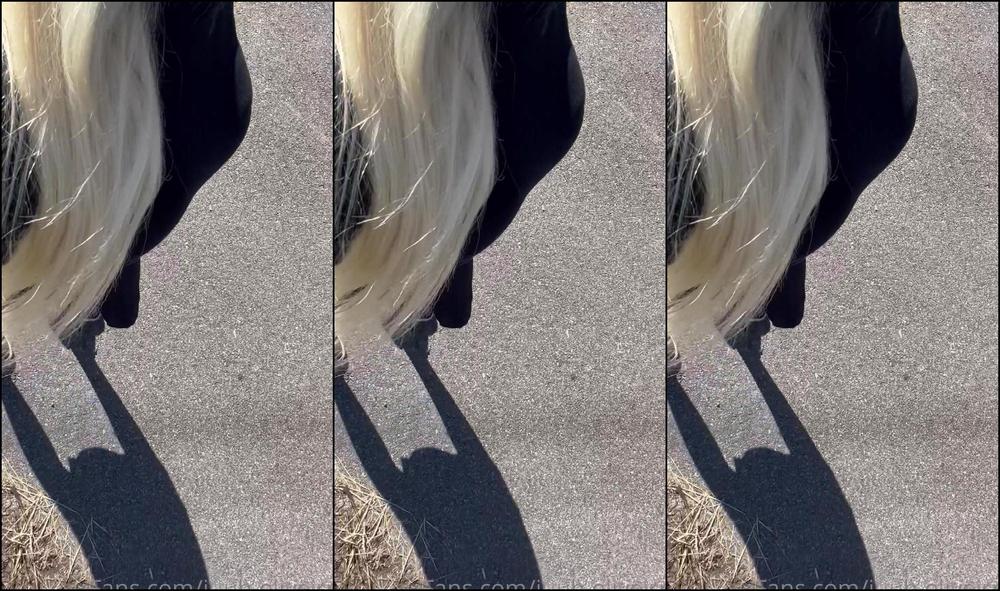 Juuh Oliveirra 2906726499 06 14 2023 Hard Dick Walk Had To Come