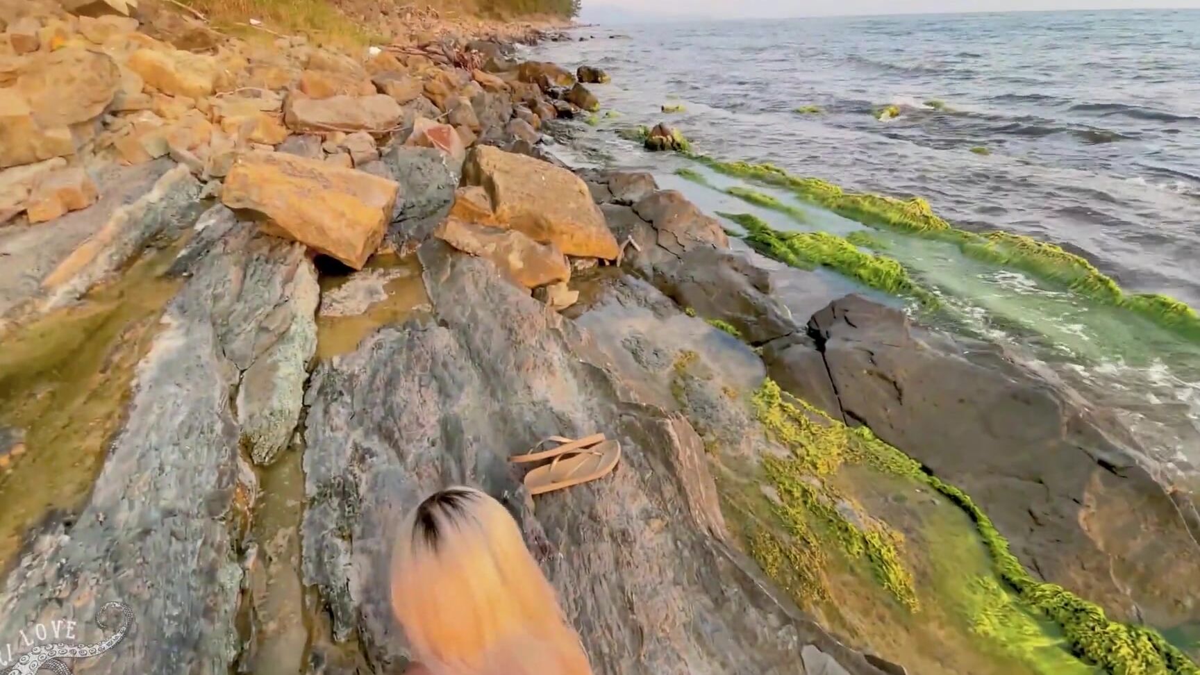 RealTelariLove Amateur couple having fun on the beach Pornhub