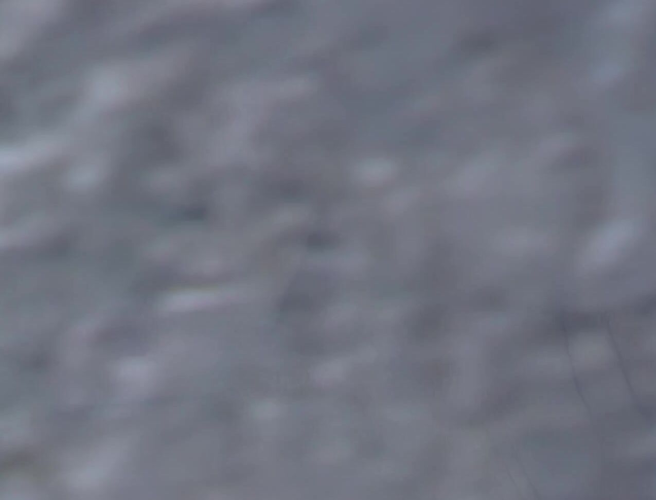 Anal, Blowjob Daniella Rush. Sex Appeal SiteRip