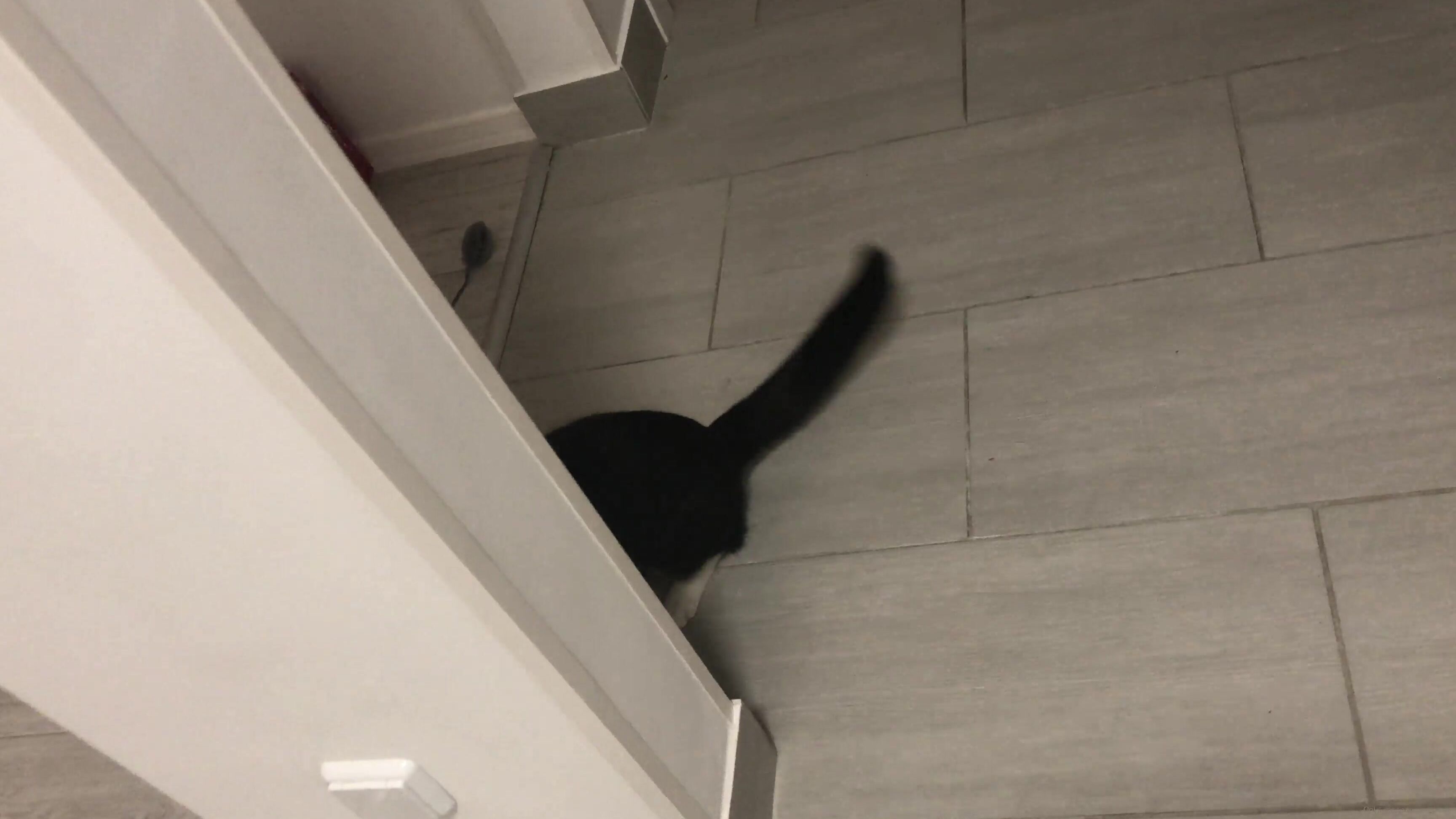 Gina Gerson Any Way We Are Friends