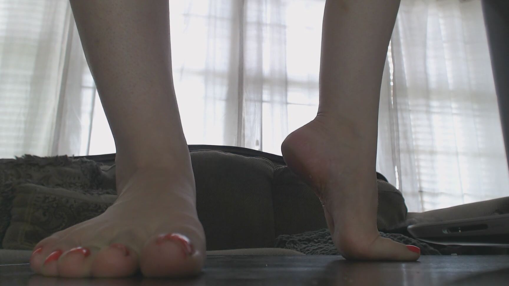 Canadiansammy Sammy The Giant Lets You Worship Feet